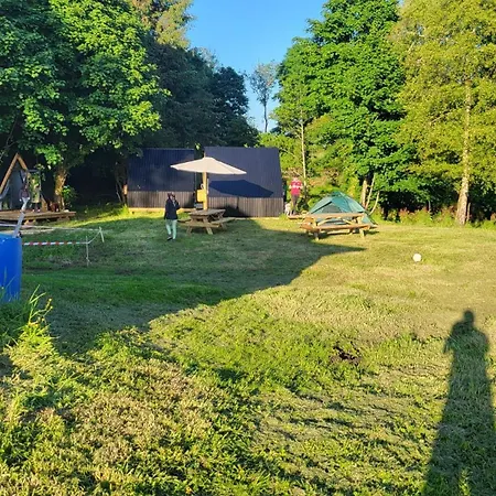 Wood Camping Campsite *